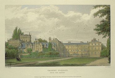 Detailed image. Please click to enlarge