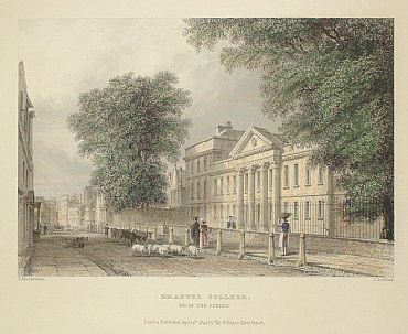 Detailed image. Please click to enlarge