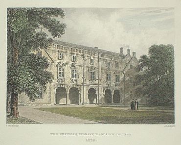 Detailed image. Please click to enlarge