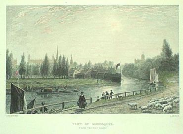 Detailed image. Please click to enlarge