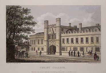 Detailed image. Please click to enlarge