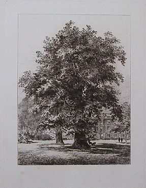 Detailed image. Please click to enlarge