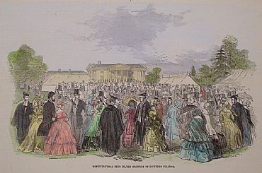 Detailed image. Please click to enlarge