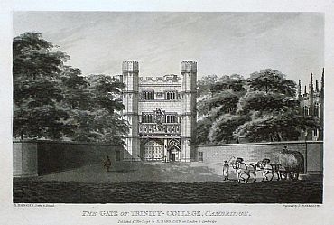 Detailed image. Please click to enlarge