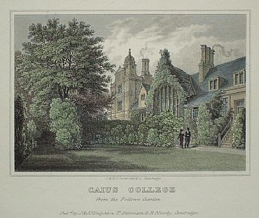 Detailed image. Please click to enlarge
