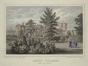 Detailed image. Please click to enlarge