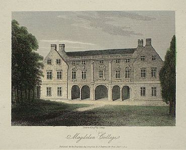 Detailed image. Please click to enlarge