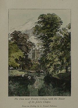 Detailed image. Please click to enlarge