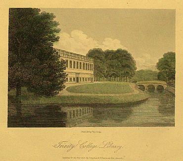 Detailed image. Please click to enlarge