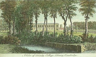 Detailed image. Please click to enlarge
