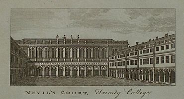 Detailed image. Please click to enlarge