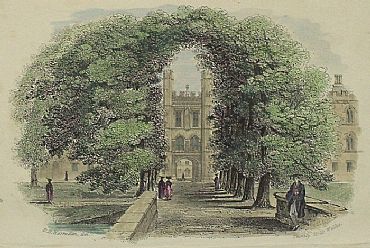 Detailed image. Please click to enlarge