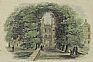 Trinity College Walks