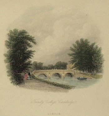 Detailed image. Please click to enlarge