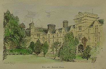 Detailed image. Please click to enlarge