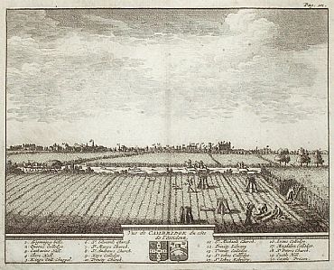 Detailed image. Please click to enlarge