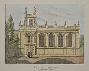 Detailed image. Please click to enlarge