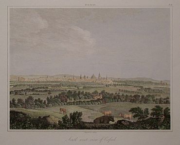 Detailed image. Please click to enlarge