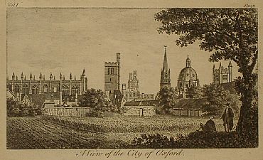 Detailed image. Please click to enlarge