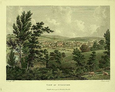 Detailed image. Please click to enlarge