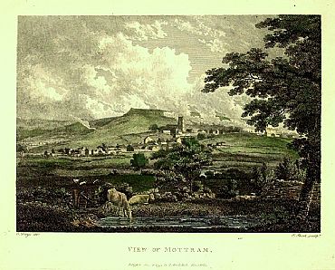 Detailed image. Please click to enlarge