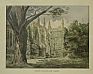 Exeter College - The Garden