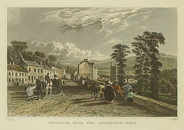 Detailed image. Please click to enlarge