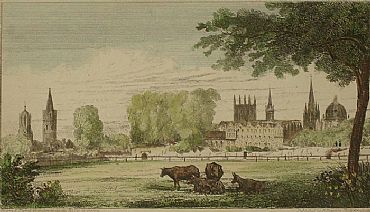 Detailed image. Please click to enlarge