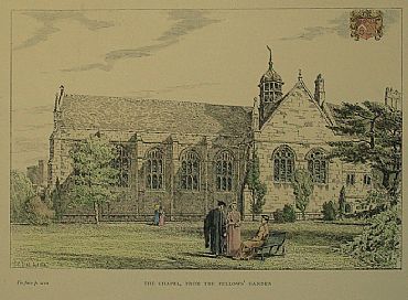 Detailed image. Please click to enlarge