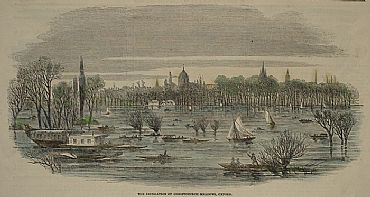 Detailed image. Please click to enlarge