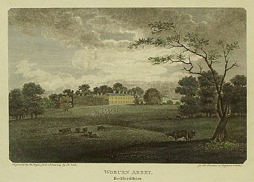 Detailed image. Please click to enlarge
