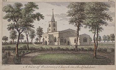 Detailed image. Please click to enlarge