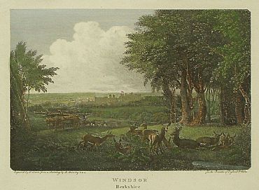 Detailed image. Please click to enlarge