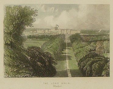 Detailed image. Please click to enlarge