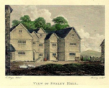 Detailed image. Please click to enlarge