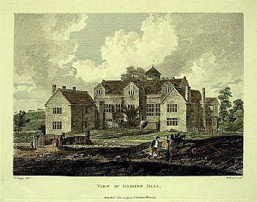 Detailed image. Please click to enlarge