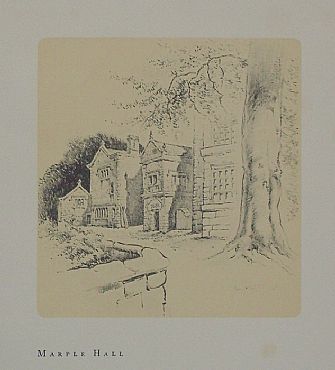 Detailed image. Please click to enlarge