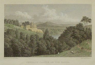 Detailed image. Please click to enlarge