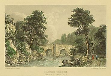 Detailed image. Please click to enlarge