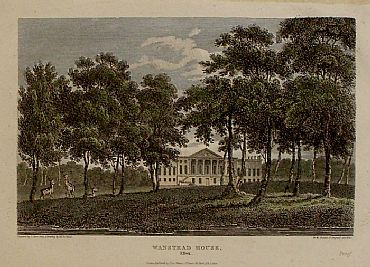 Detailed image. Please click to enlarge