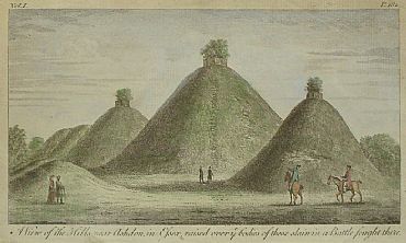 Detailed image. Please click to enlarge