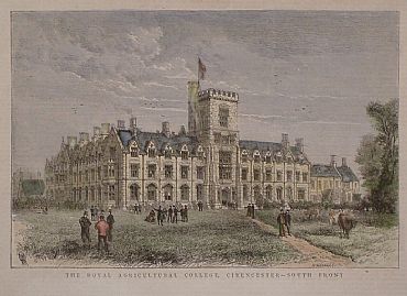 Detailed image. Please click to enlarge