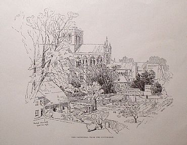 Detailed image. Please click to enlarge