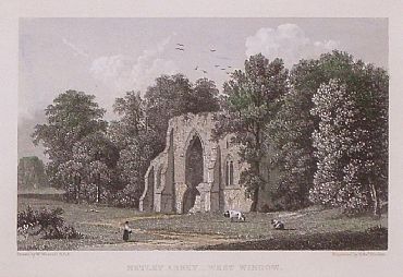 Detailed image. Please click to enlarge