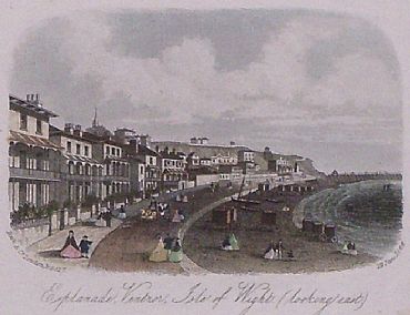 Detailed image. Please click to enlarge