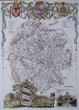 Detailed image. Please click to enlarge