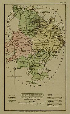 Detailed image. Please click to enlarge
