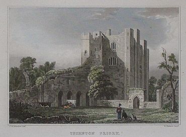 Detailed image. Please click to enlarge