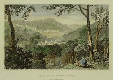 Detailed image. Please click to enlarge