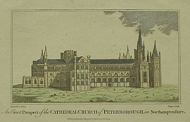 Detailed image. Please click to enlarge